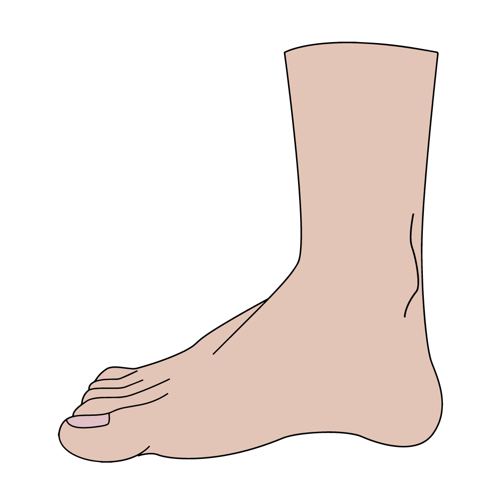 Drawing: Feet