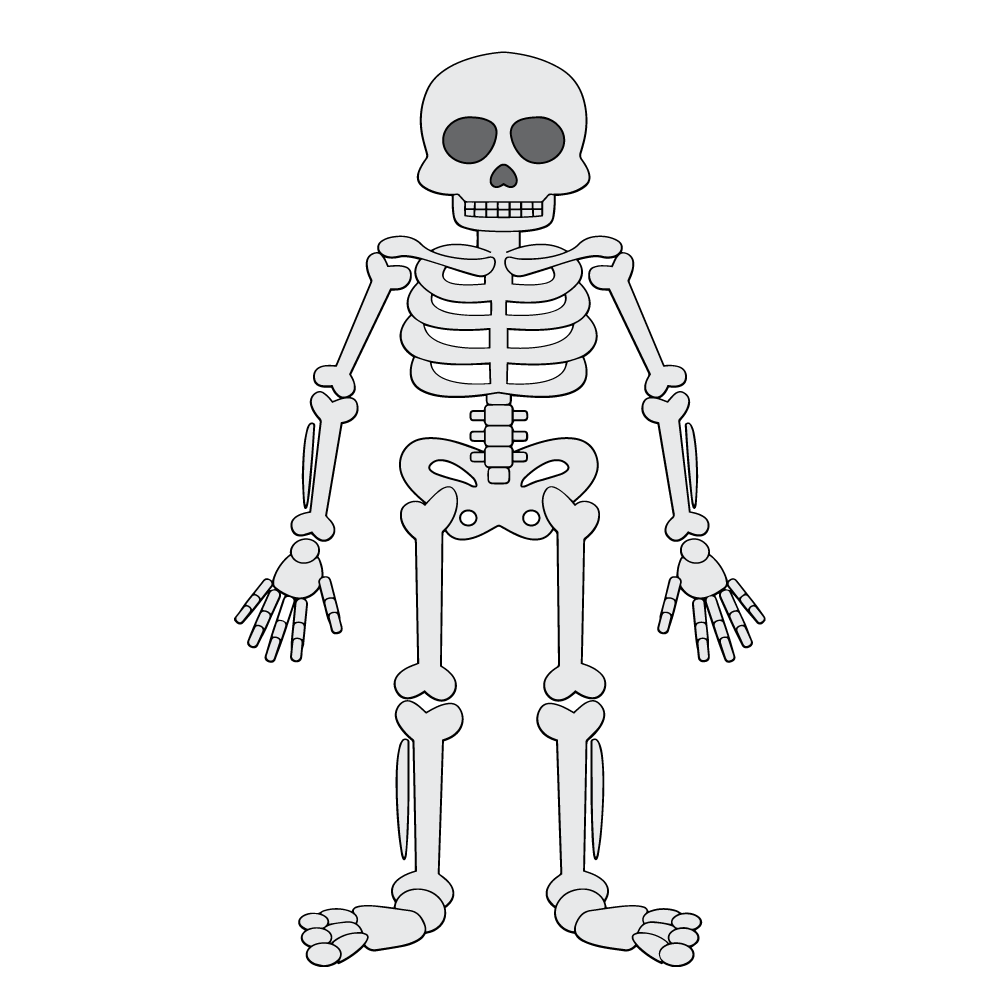 Drawing: Skeleton